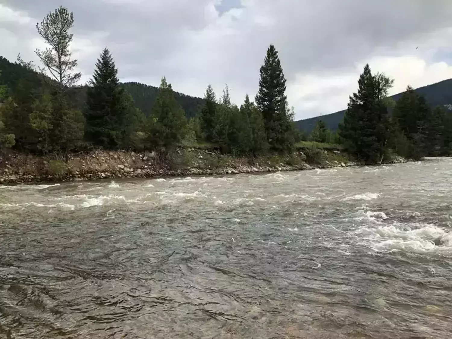 Yellowstone river fishing 28