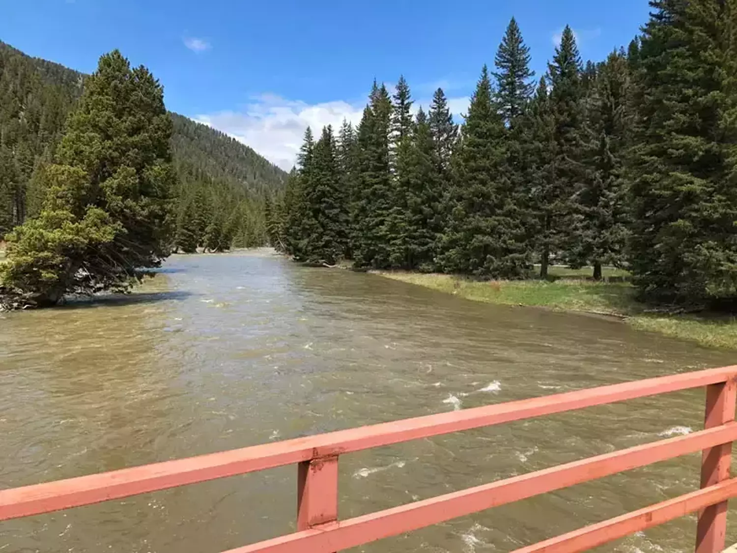 Yellowstone river fishing 29