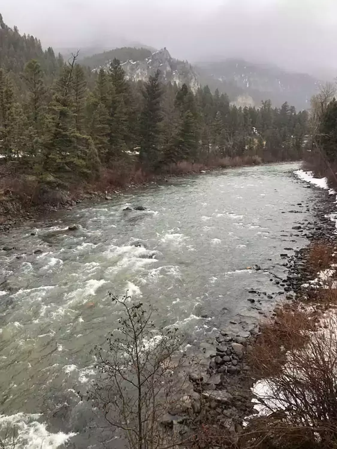 Yellowstone river fishing 25