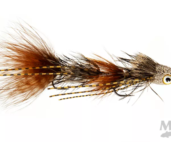 Montana fly fishing fins and feathers 16
