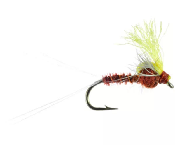 Montana fly fishing fins and feathers 27