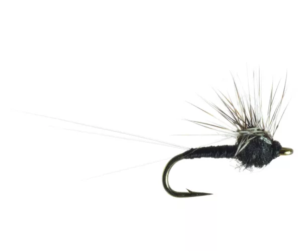 Flyfish montana80