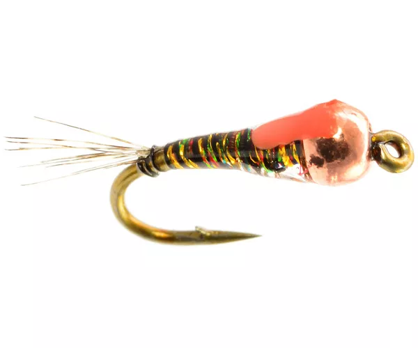 Flyfish montana26