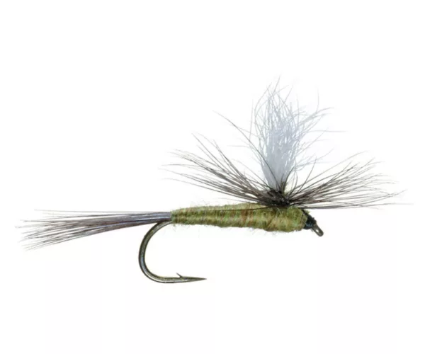 									Fly fish for large Montana trophy trout during the Spring.
															